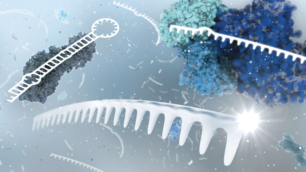 LNA (Locked Nucleic Acids) Knowledge Center